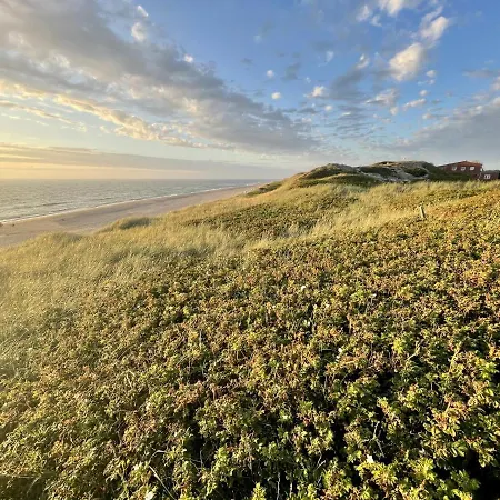 Sylter Rose Westerland