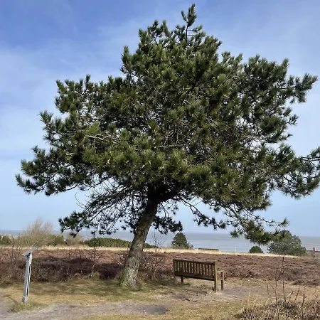 Apartman Sylter Rose